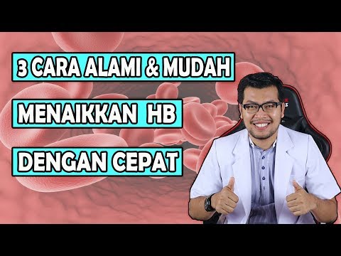 Video 3 Cara Menaikan HB/Hemoglobin Rendah Pada Ibu Hamil 2021 | Seciko ID