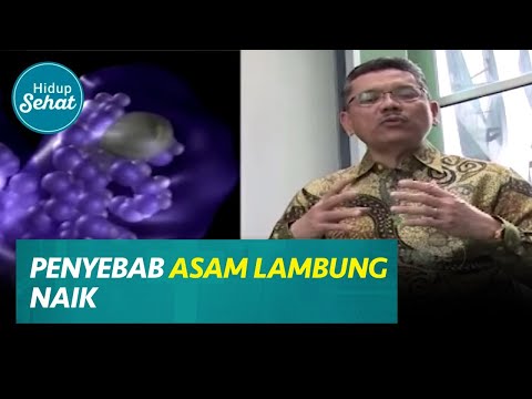 Video Cara Mudah Mencegah Asam Lambung Naik | Hidup Sehat 2021 | Seciko ID