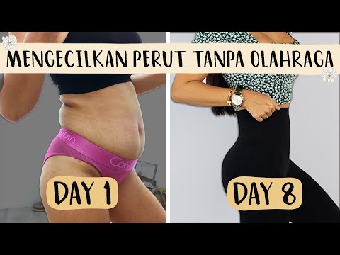 Video 1 CARA MENGECILKAN PERUT PALING CEPAT & AMPUH !! 2021