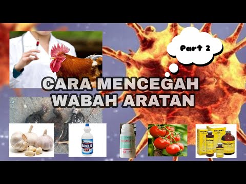 Video Cara mencegah wabah ARATAN ( Part 2 ) 2021