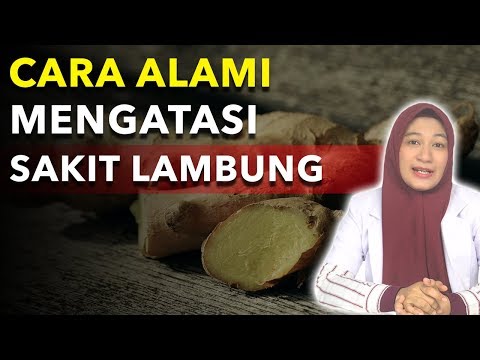 ASAM LAMBUNG NAIK APA OBATNYA - CARA MENGOBATI ASAM LAMBUNG NAIK 2021 ...