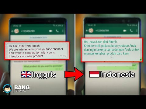 Trik Menterjemahkan Bahasa Asing Pesan Whatsapp Secara Cepat | TRANIT TRANSLATOR Terbaru