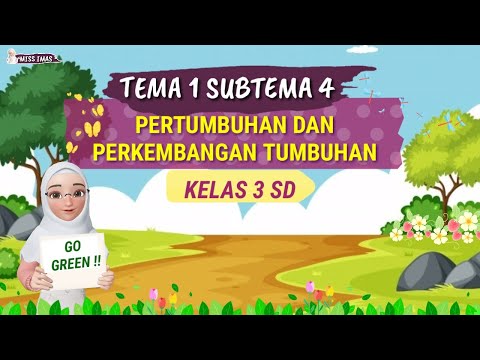 Pembahasan PERTUMBUHAN DAN PERKEMBANGAN TUMBUHAN KELAS 3 SD || MATERI IPA TEMA 1 SUBTEMA 4