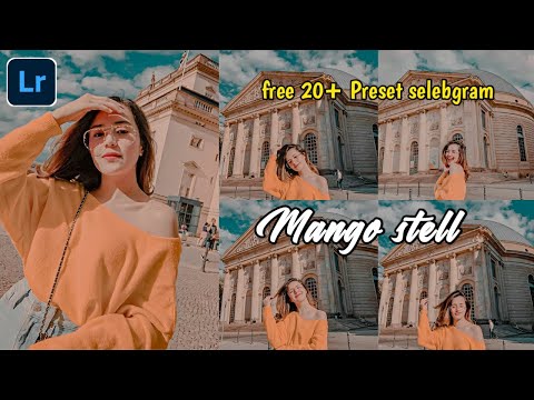 Free preset | Tutorial edit foto ala selebgram filter Mango stell – Lightroom tutorial