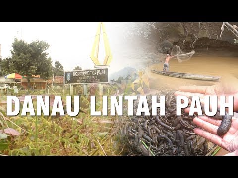 Wisata Jambi, Danau Lintah Pauh, Sarolangun Jambi