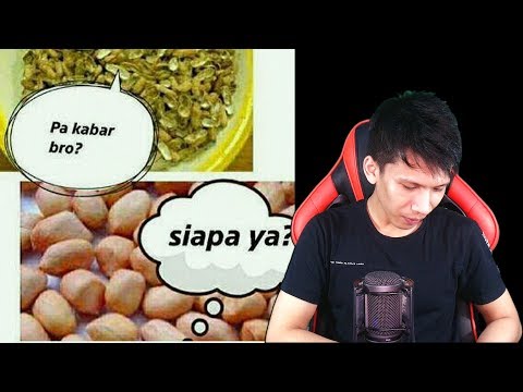 YOUTUBER KACANG LUPA KULIT ?